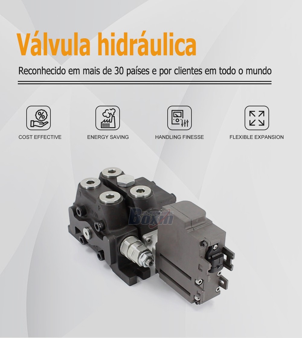 Reliable DCV100EMA-OT 1 Spool Sectional Directional Valve for Mobile and Industrial Hydraulics